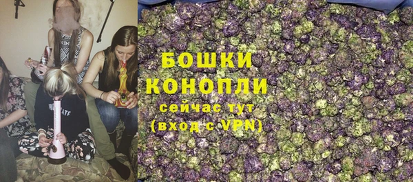 прущие крисы Балахна