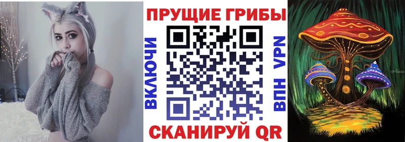 купить закладку Гагарин Галлюциногенные грибы Psilocybe